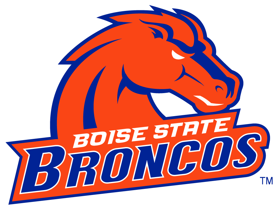 Boise State Broncos 2002-2012 Secondary Logo v27 diy DTF decal sticker